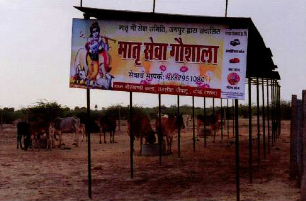 गाय की सेवा करना भगवान की सेवा करना है